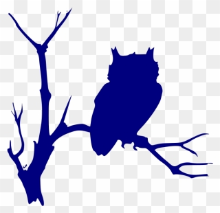 Randy Owl Svg Clip Arts - Owl On A Branch Silhouette - Png Download