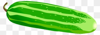 Cucumber Clipart, Cucumber Transparent Free For Download - Cucumber Clipart - Png Download