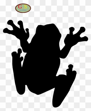 The Tree Frog Toad Clip Art - St. Louis Cathedral - Png Download