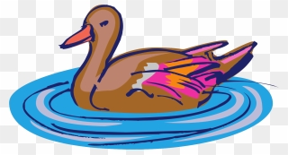 Clip Art Duck Swimming - Png Download