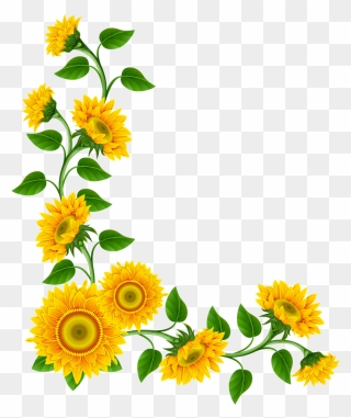 #mq #yellow #flowers #flower #garden #nature - Sunflower Border Clipart - Png Download