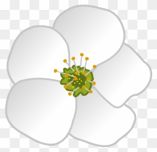 Flower Svg Clip Arts - Windflower - Png Download