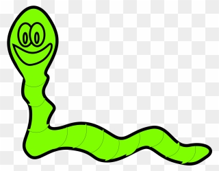 Outline Of A Worm Clipart