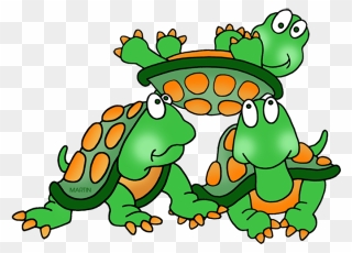 Turtles - Group Of Tortoises Clipart - Png Download