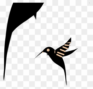 European Swallow Clipart