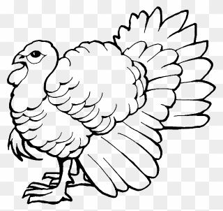 Free Printable Coloring Picture Of A Turkey Clipart