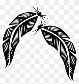Plant,leaf,monochrome Photography - Feathers Vector Clipart