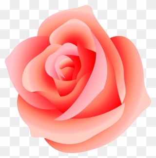 Transparent Rose Flower Pink Png Clipart