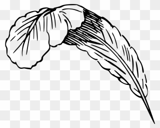 Feather - Wings Drawing Image Simple Clipart