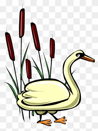 Swan Clipart Double - Png Download