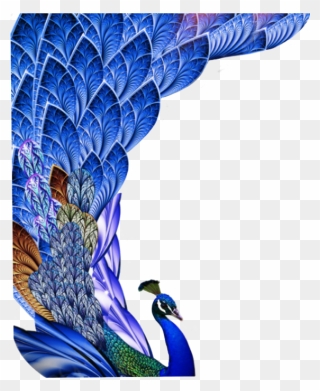 #peacock #bird #birds #animal #feather #feathers #freetoedit - Peacock Feather Images Hd Free Download Clipart