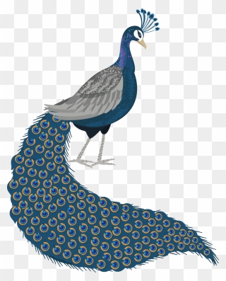 Clip Art - Png Download