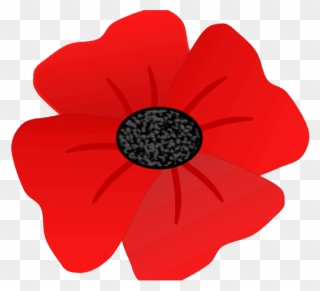 Draw A Remembrance Poppy Clipart