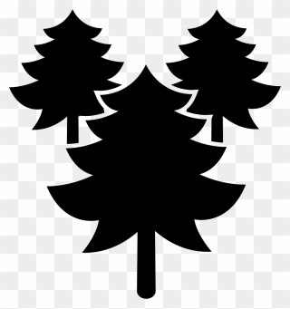 Pines Trees Forest - Portable Network Graphics Clipart