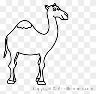 1024 X 768 21 - Camel Cartoon Png Black And White Clipart