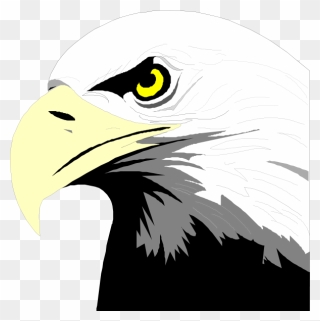Bald Eagle Head Clip Art At Clker - Bald Eagle Head Clip Art - Png Download