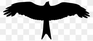Onlinelabels Clip Art - Bird Wing Silhouette Png Transparent Png