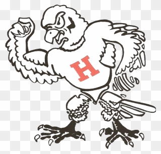 Holliday High School Eagles Clipart