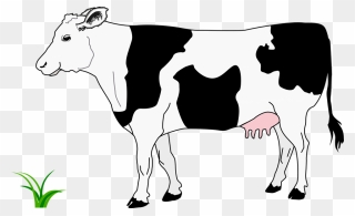 Cow Clipart Black And White - Png Download