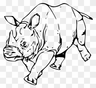 Monochrome - Rhino Drawing Free Png Clipart