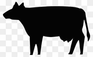 Animal Silhouette Clipart Cow Svg Freeuse Holstein - Cow Silhouette - Png Download