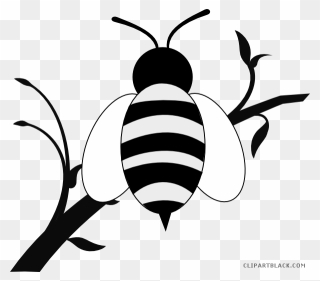 Honey Bee Animal Free Black White Clipart Images Clipartblack - Branch Black And White Clipart - Png Download