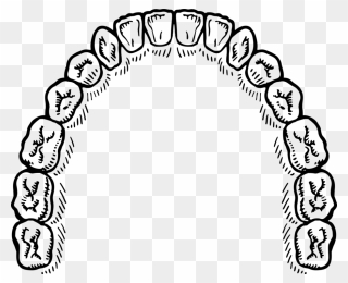 Line Art,circle,coloring Book - Mouth Of Teeth Vector Clipart