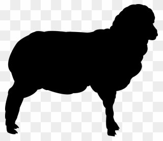 Neapolitan Mastiff English Mastiff Bulldog Tibetan - Black Donkey Png Clipart