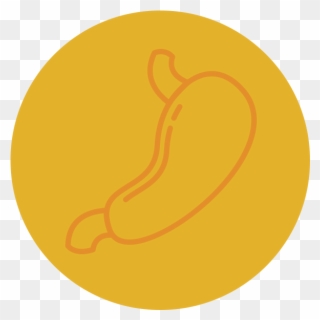 Stomach - Health Care Clipart