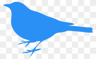 Bluebird Bird Animal - Clip Art Blue Bird - Png Download