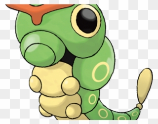 Pokemon Clipart Caterpie - Real Life Weedle Pokemon - Png Download