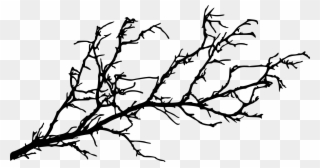 Clip Freeuse Stock Silhouette Branch At Getdrawings - Tree Branch Silhouette Png Transparent Png