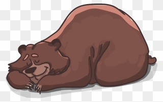 Sleeping Bear - Brown Bear Sleeping Clipart - Png Download
