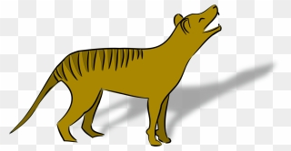 Thylacine Clipart - Png Download