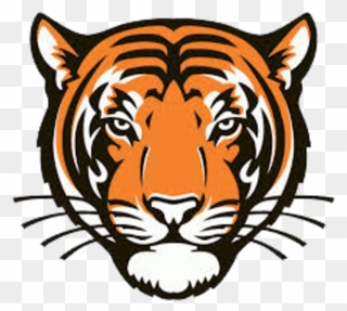Tiger Coming Out Of Basketball Clipart Royalty Free - Princeton University School Mascot - Png Download