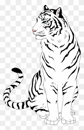 Tigers Drawing Sketch Transparent Png Clipart Free - Black And White Tiger Clipart