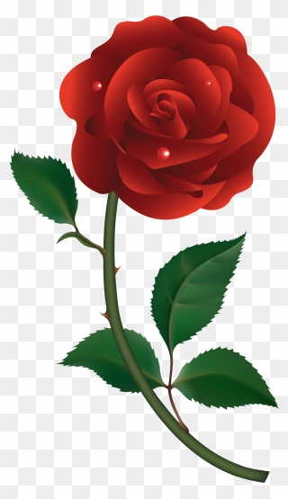 Clip Art Roses - Red Rose Vector Free Download - Png Download