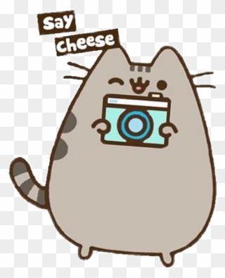 #cat #camera #cameracat #cute #love #summer #kitten - Cute Drawings Of Pusheen Cat Clipart
