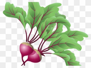 Transparent Clip Art Vegetable , Png Download - Beetroot Clipart Png