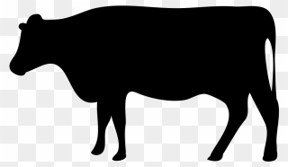 Beef Cattle Dairy Farming Livestock Dairy Cattle - Cattle Icon Clipart