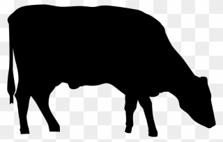 Cow Silhouette Png Clipart