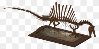 Transparent Skeletons Png - Lesothosaurus Clipart