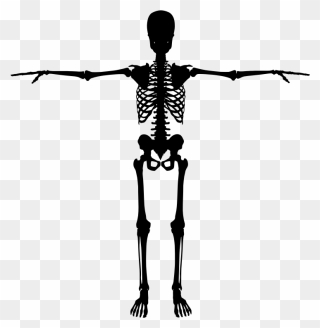 Halloween Dancing Skeleton Clipart Vector Royalty Free - Back Of Skeleton Png Transparent Png