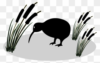 Kiwi Bird Cartoon Clipart