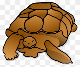 Turtle Cartoon Clipart