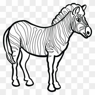 Black And White Zebra Clipart - Png Download
