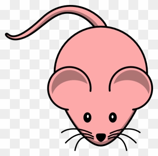 Girl Mouse Boy Mouse Clipart - Female Mouse Clipart - Png Download