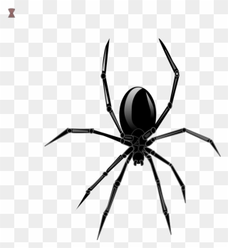 Widow Spider Clipart