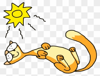 Cat Sleeping Png Clipart - Cat In Sun Clipart Transparent Png