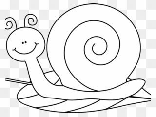 Snails Cliparts - Illustration - Png Download